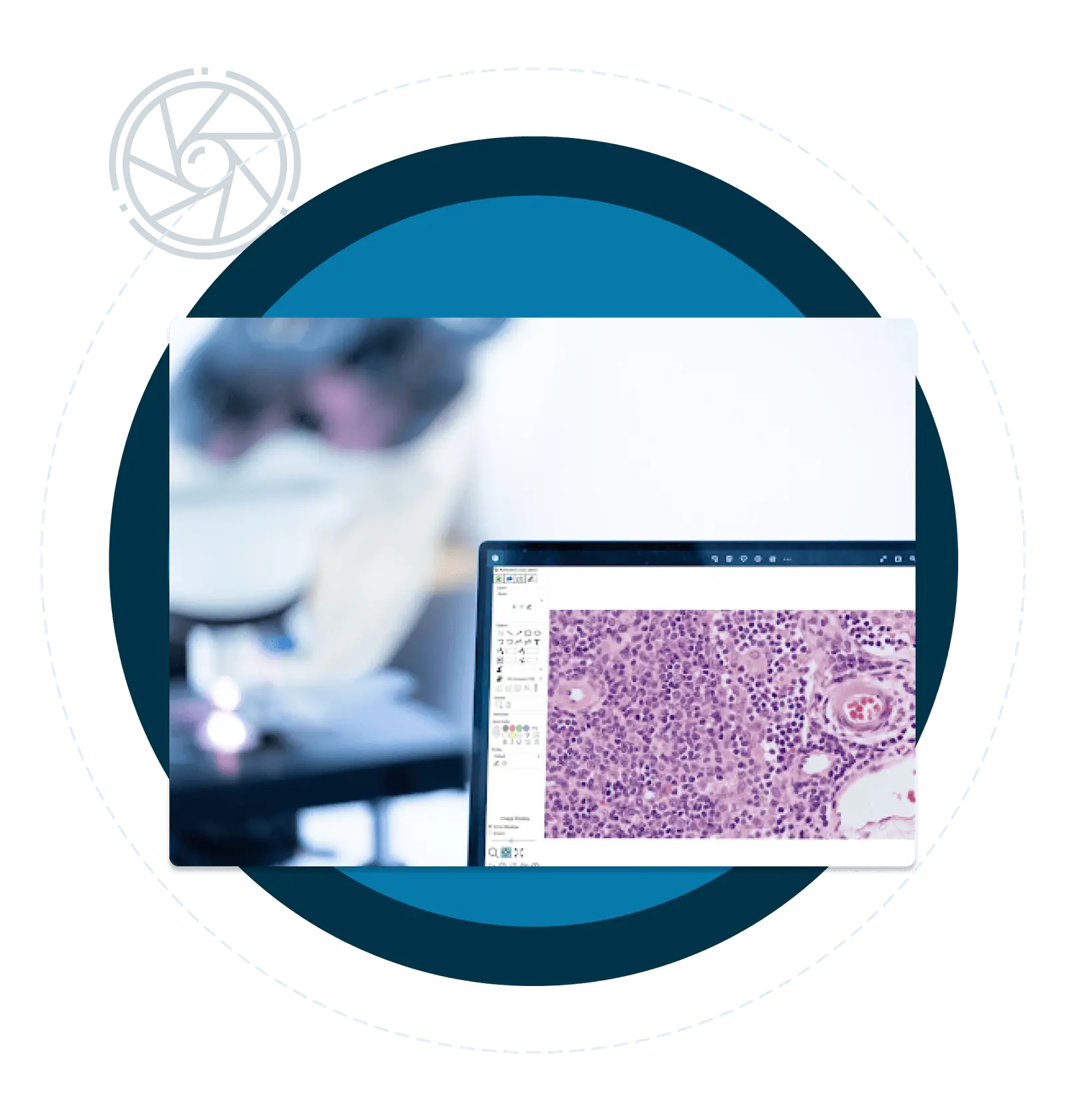 Sample Imaging - SPOT Imaging